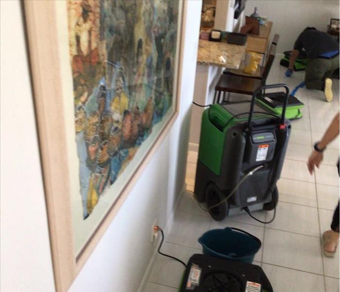 Mold found in HOLLYWOOD home's living room