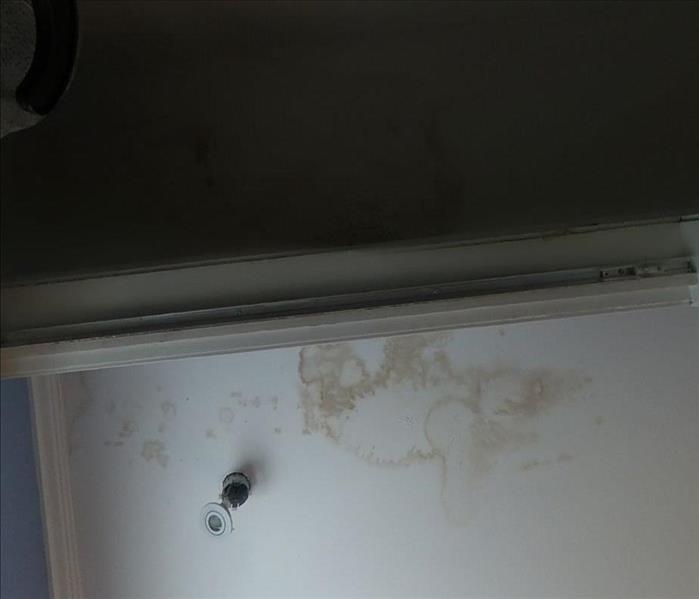 Mold developed due to damaged roof from storm in a Miami home