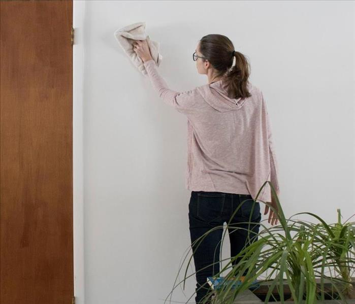 Are you supposed to clean your walls regularly?
