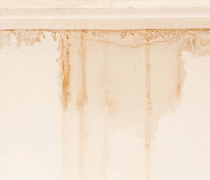 Can you remove stains from my walls?