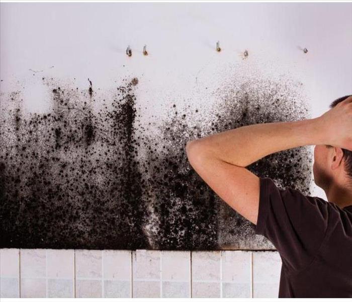 When should I be worried about mold?