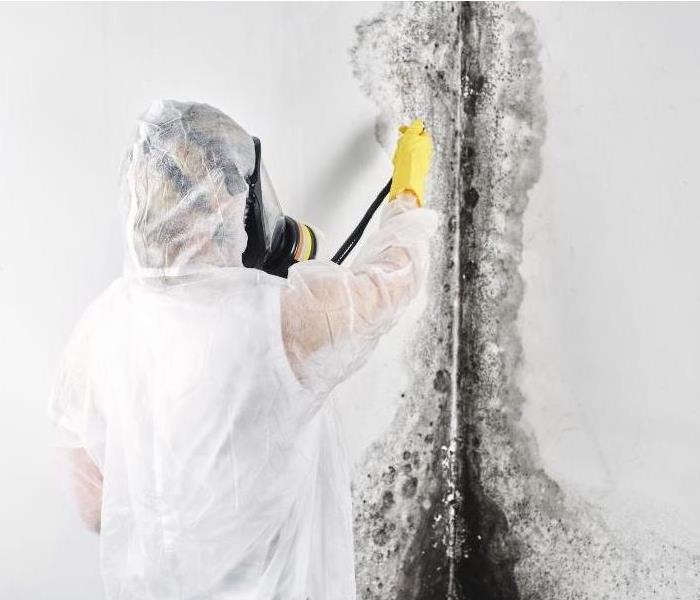 Can you stay in your house during mold remediation?